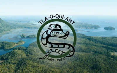 Screenshot 2025-02-14 at 9.19.07 AM Screenshot 2025-02-14 at 9.19.07 AM